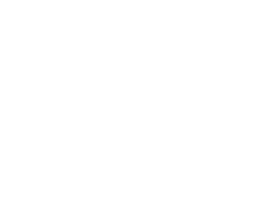 Folk Fest